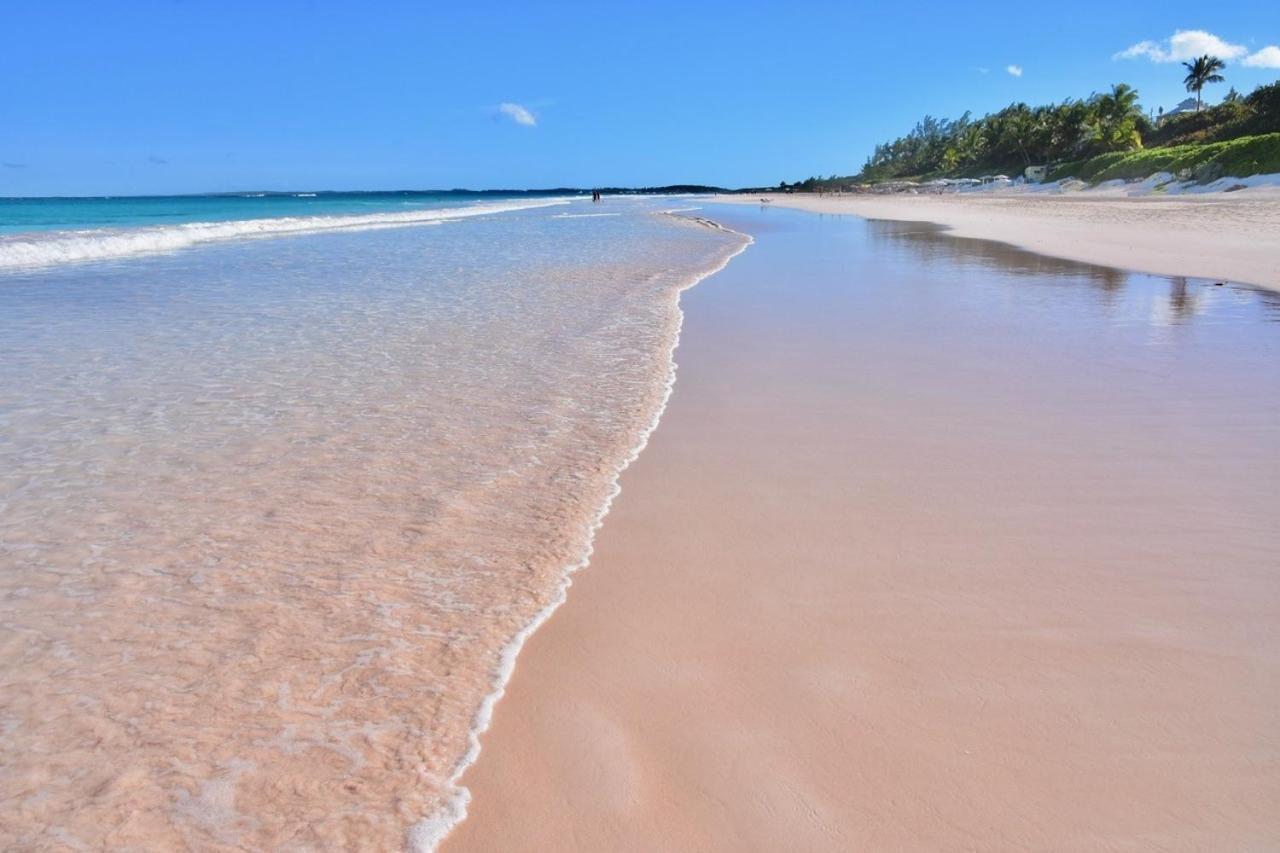 Conch Shell Harbour Island Home Dunmore Town Chambre photo